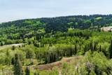 325 White Pine Canyon Road - Photo 51