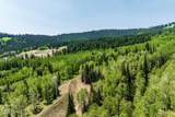 325 White Pine Canyon Road - Photo 52