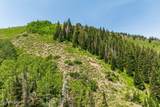 325 White Pine Canyon Road - Photo 53