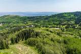325 White Pine Canyon Road - Photo 54