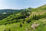 325 White Pine Canyon Road - Photo 56