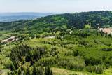 325 White Pine Canyon Road - Photo 57