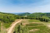 325 White Pine Canyon Road - Photo 58