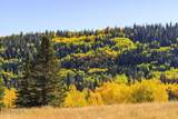 325 White Pine Canyon Road - Photo 59