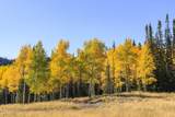 325 White Pine Canyon Road - Photo 60