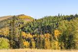 325 White Pine Canyon Road - Photo 69