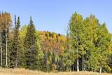 325 White Pine Canyon Road - Photo 70