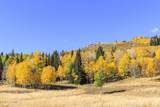 325 White Pine Canyon Road - Photo 71