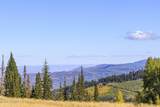 325 White Pine Canyon Road - Photo 72