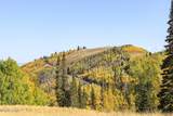 325 White Pine Canyon Road - Photo 73