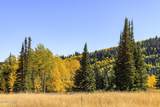 325 White Pine Canyon Road - Photo 74