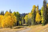 325 White Pine Canyon Road - Photo 75