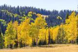 325 White Pine Canyon Road - Photo 77