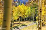 325 White Pine Canyon Road - Photo 78