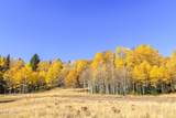 325 White Pine Canyon Road - Photo 79
