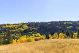 325 White Pine Canyon Road - Photo 80