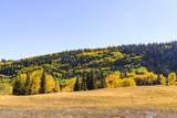 325 White Pine Canyon Road - Photo 82