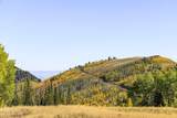 325 White Pine Canyon Road - Photo 83