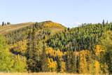 325 White Pine Canyon Road - Photo 85