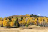 325 White Pine Canyon Road - Photo 86