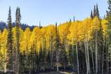 325 White Pine Canyon Road - Photo 89