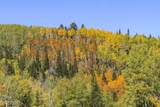 325 White Pine Canyon Road - Photo 90