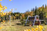 325 White Pine Canyon Road - Photo 91