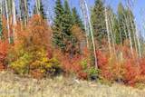 325 White Pine Canyon Road - Photo 92