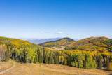 325 White Pine Canyon Road - Photo 95