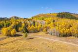 325 White Pine Canyon Road - Photo 96