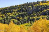 325 White Pine Canyon Road - Photo 98