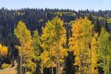 325 White Pine Canyon Road - Photo 99