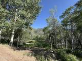 5592 Fremont Trail - Photo 29