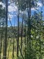 2684 Forest Meadow Road - Photo 20