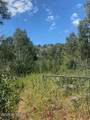 2684 Forest Meadow Road - Photo 21