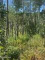 2684 Forest Meadow Road - Photo 3