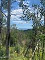 2684 Forest Meadow Road - Photo 4