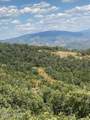 2684 Forest Meadow Road - Photo 5