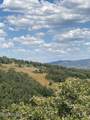 2684 Forest Meadow Road - Photo 7