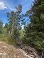 2393 Navajo Drive - Photo 9