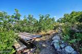 5071 Woodland Way - Photo 6
