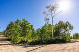 11616 Cliffrose Drive - Photo 4