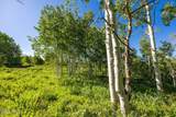 11616 Cliffrose Drive - Photo 8
