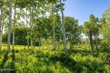 11616 Cliffrose Drive - Photo 9