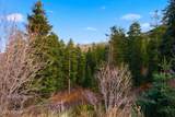 7092 Canyon Drive - Photo 14