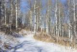 11708 Canyon Rim Road - Photo 11