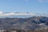 11708 Canyon Rim Road - Photo 20