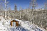 11708 Canyon Rim Road - Photo 32