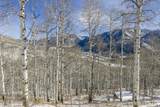 11708 Canyon Rim Road - Photo 34