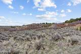 46997 Thunder Ridge Road - Photo 18